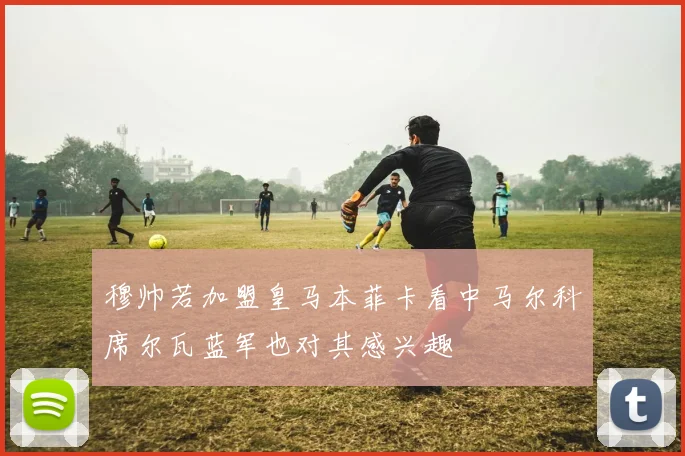 穆帅若加盟皇马本菲卡看中马尔科席尔瓦蓝军也对其感兴趣